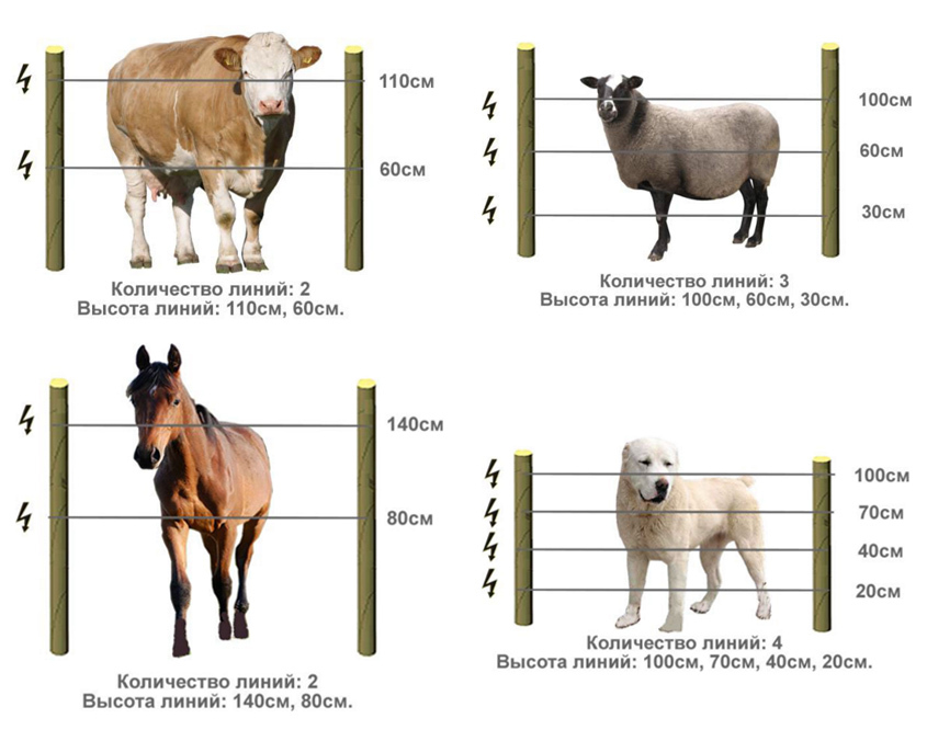 Принцип работы электропастуха для коров схема