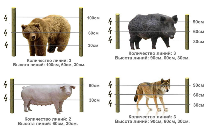 Схема установки электропастуха для овец