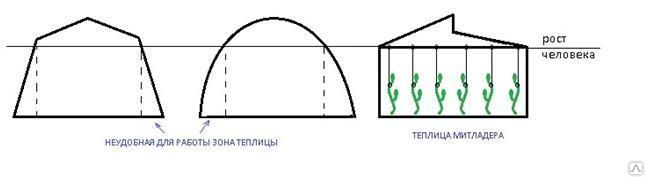 Теплица по Митлайдеру своими руками из поликарбоната: схемы (видео) - urdveri.ru