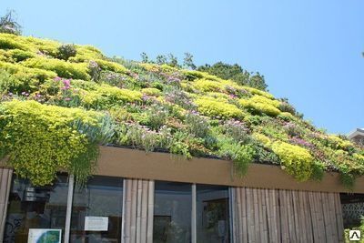 Сады на крышах, озеленение крыш