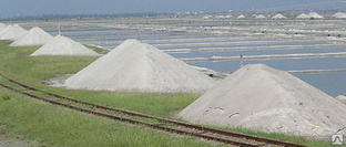 Соль концентрат минеральный галит в мешках по 50 кг 