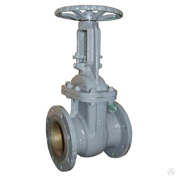 Задвижка 30с41нж Ру 16 Ду 150 (Муром), цена в Казани от компании Технохим