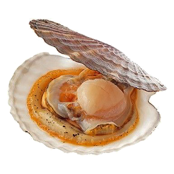 Cалат-коктейль с морскими гребешками