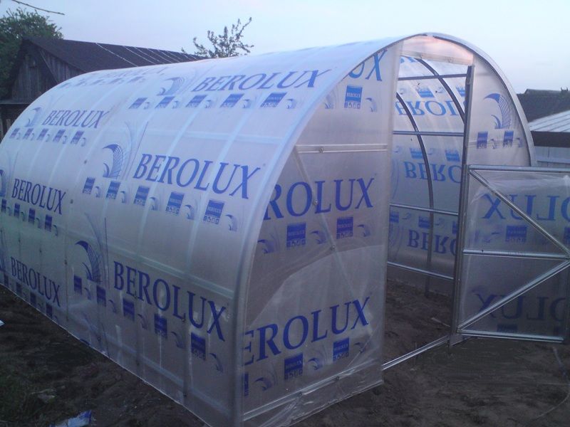 Сотовый поликарбонат (усиленный) 2100х6000х4 мм "Berolux". Сотовый поликарбонат Berolux. Поликарбонат тепличный 4 мм. Поликарбонат Беролюкс 4 мм. Стоимость поликарбоната 4 мм для теплиц
