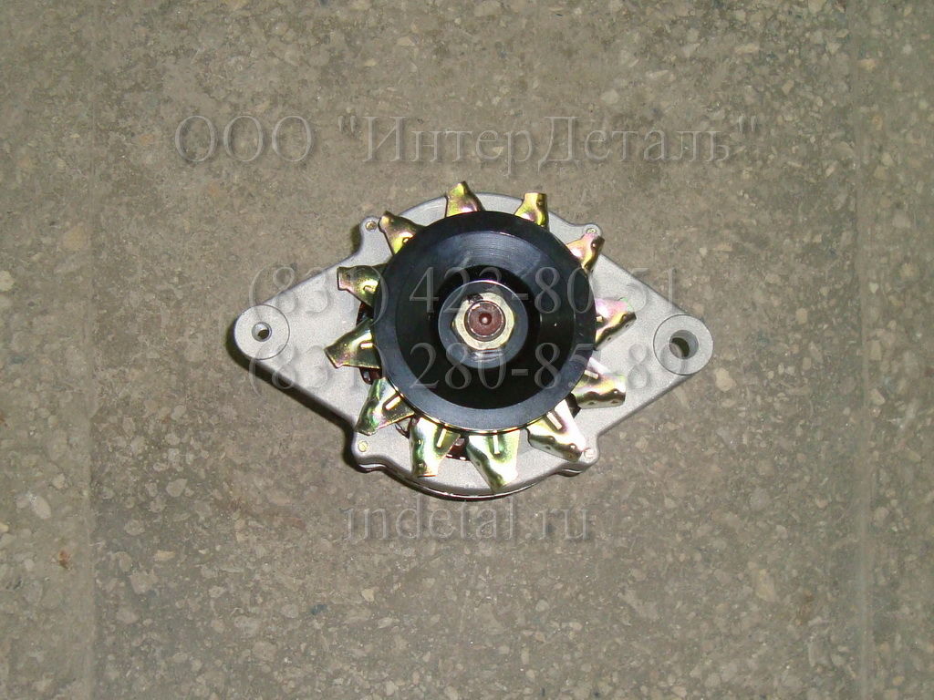 Әйел әйнек суретке түседі