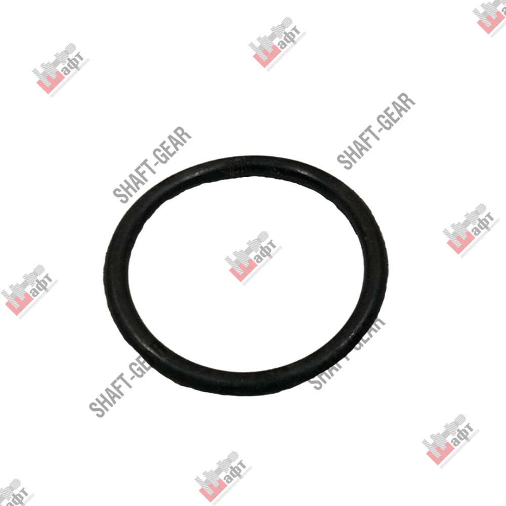 634316057 - Уплотнительное кольцо на КПП Shaft-Gear