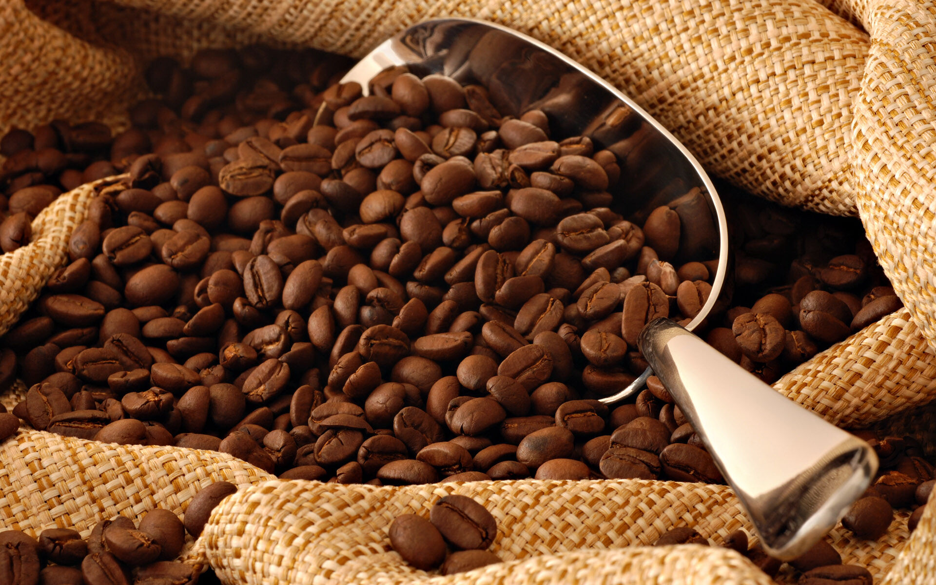 Кофе в зернах жареный в мешках 30 кг. 100% Робуста (Бразилия) 17/18 scr