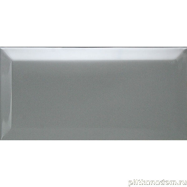 Керамическая плитка Керамин Dar Ceramics Настенная плитка (кабанчик) Biselado Plata Brillo 10x20