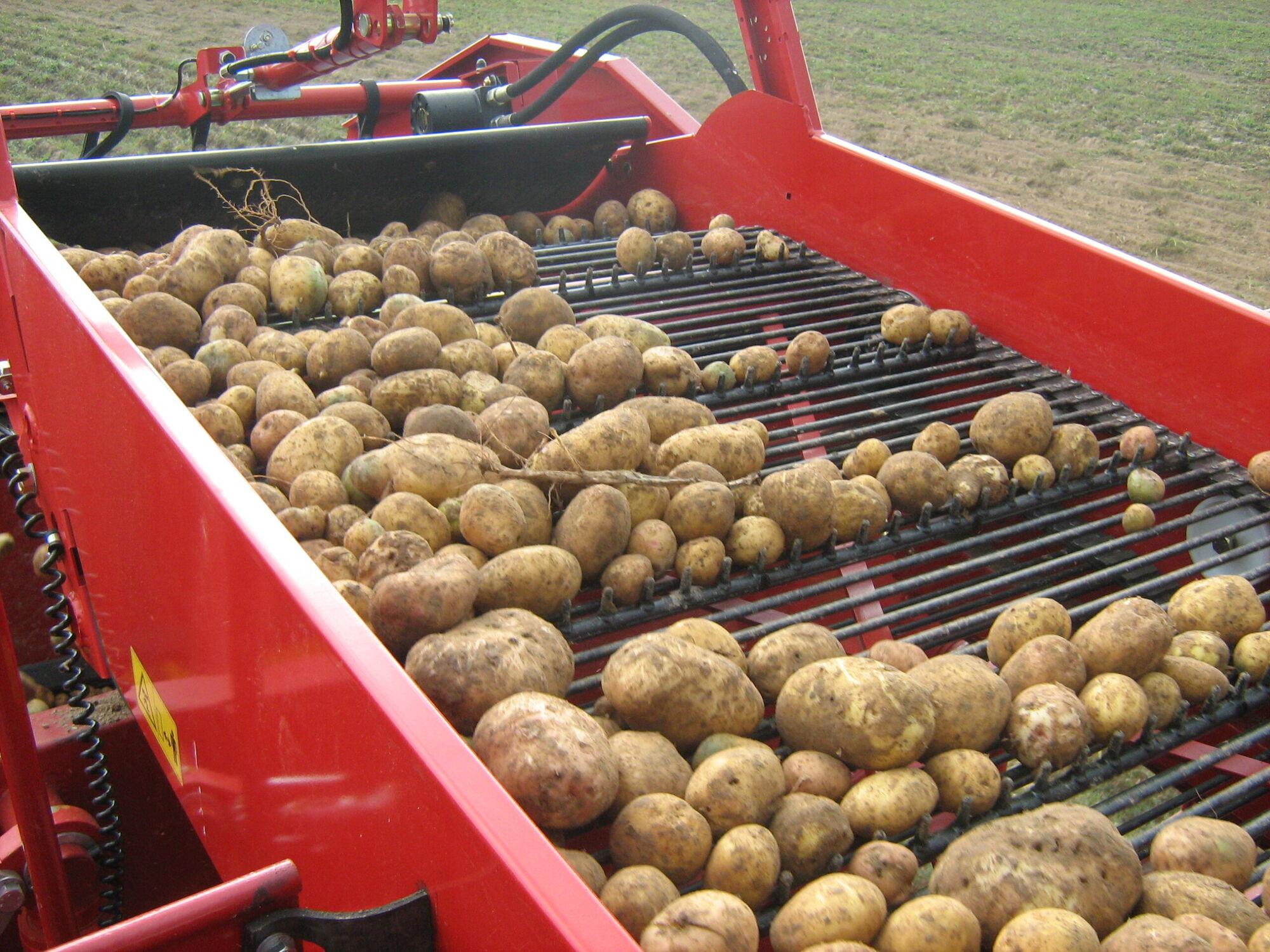 Картофелеуборочный комбайн ККБ-2 с боковым подкопом, цена в Санкт ...