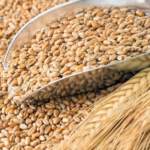 Пшеница кормовая 40кг