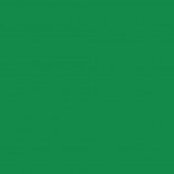 Chemica Термотрансферная пленка для плоттерной резки Firstmark 110 Dark Green