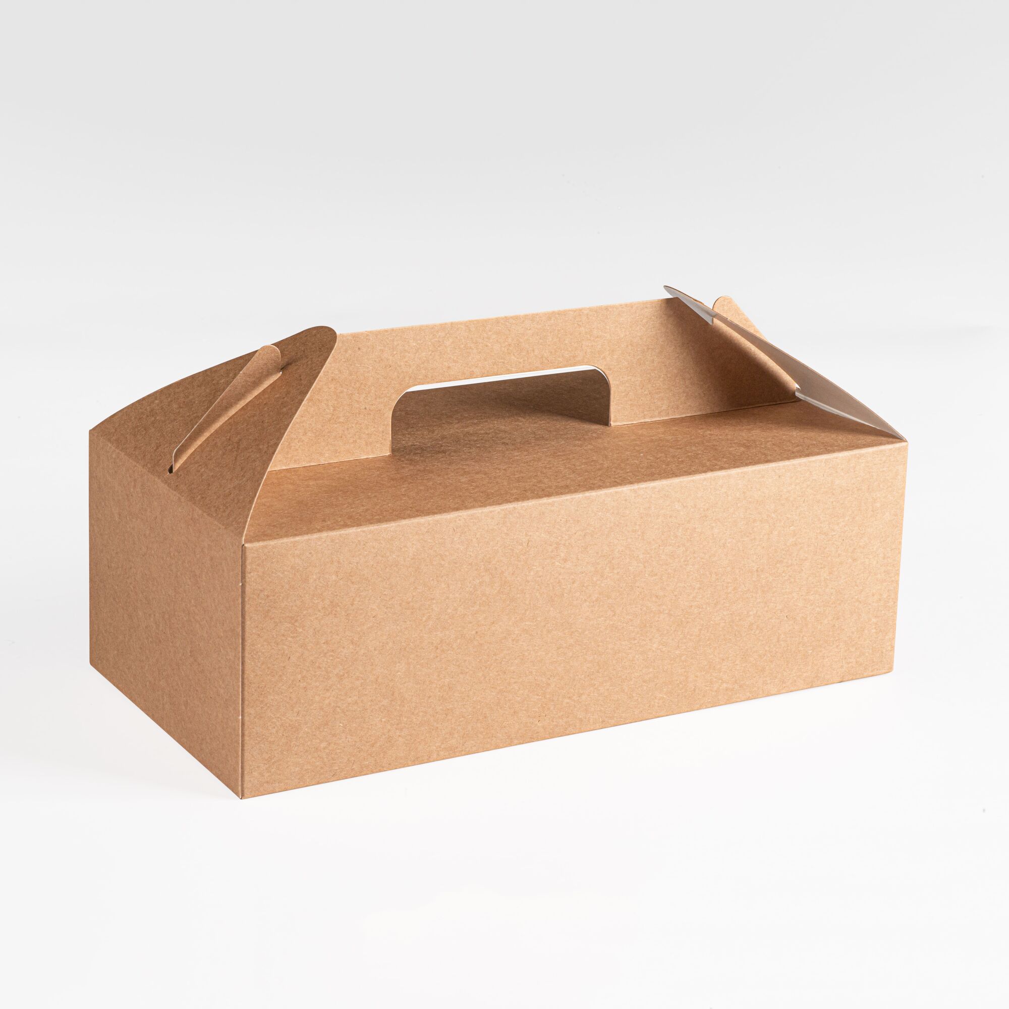 Коробка Box With Handle 290х143х98 мм с ручками