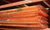 Сотовый поликарбонат КОЛИБРИ Оранжевый 10 мм (2,1*6 м) Полигаль КОЛИБРИ #4