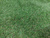 Искусственная трава/газон Naterial премиум 20мм #1